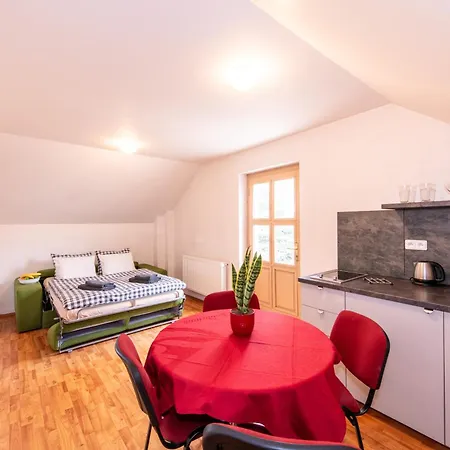 Stribrna Lhota Guest house *
