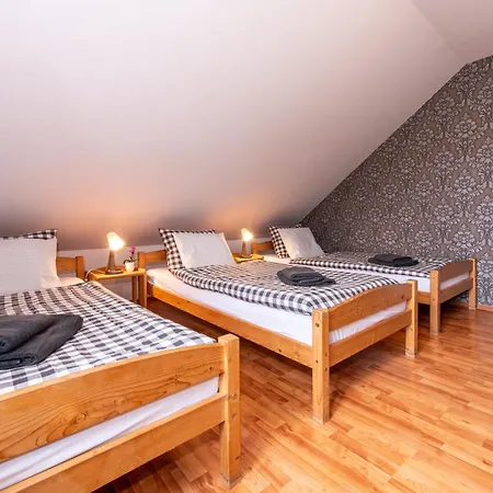 Stribrna Lhota Guest house *