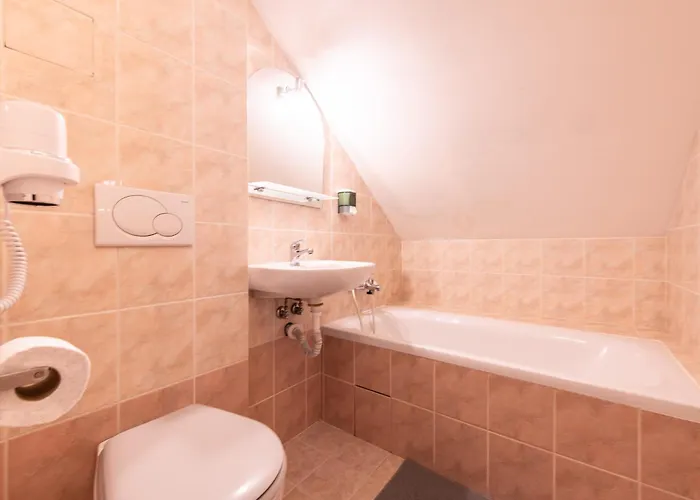 Guest house Stribrna Lhota